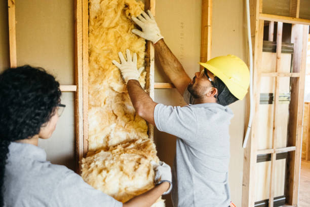 Best Soundproof Insulation Installation  in Erin, TN