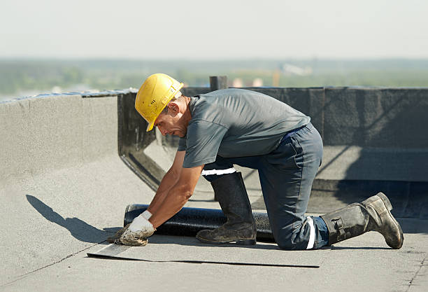 Best Affordable Insulation Services  in Erin, TN
